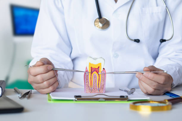 Best Emergency Orthodontic Repairs in Newport, NC